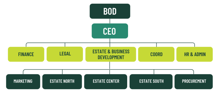 REDAMCO Company Structure
